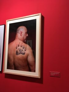 La Marca del Oso Por Carlos Escolástico - Exposición sexualidades: erotismo y diversidad en la Colección Visible