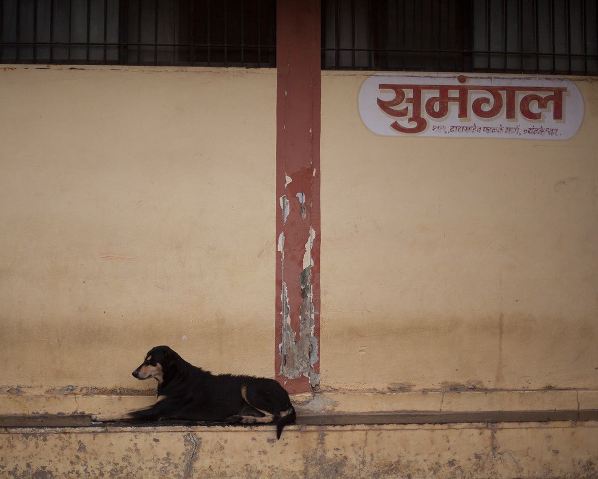INDIA: TO HAVE OR TO BE by Carlos Escolastico